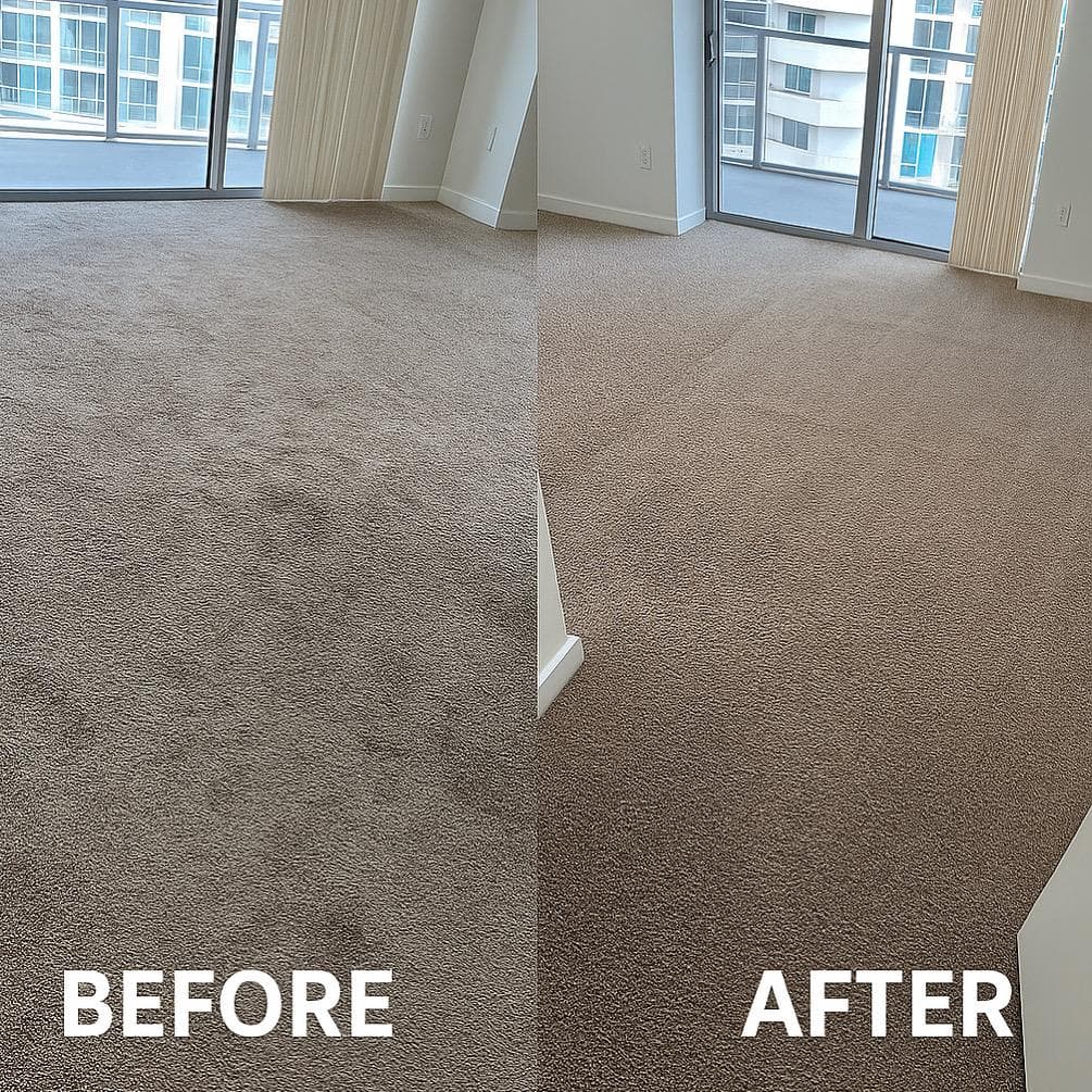 Before and after carpet cleaning transformation